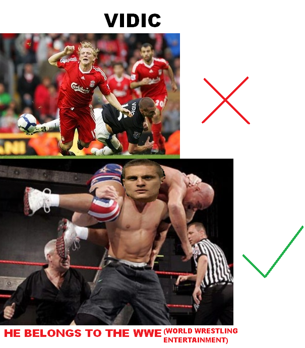 VIDIC