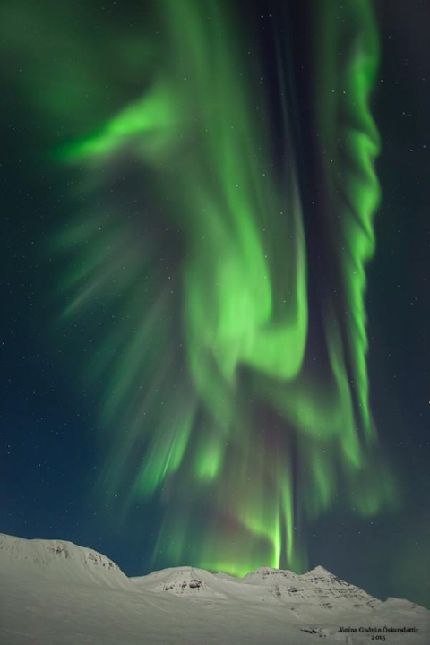 Liverbird, northern lights