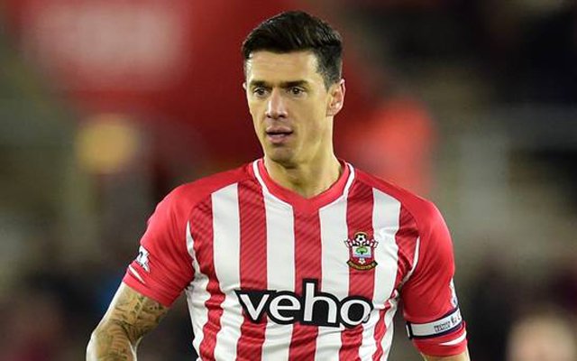 jose fonte