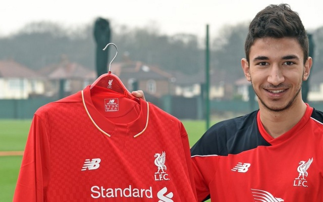 Marko Grujic - Liverpool1