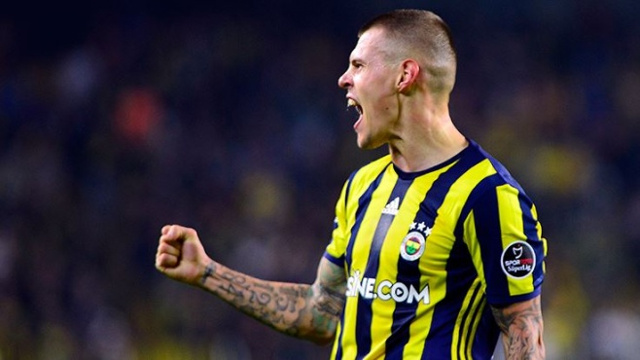 Martin Skrtel, Fenerbahçe