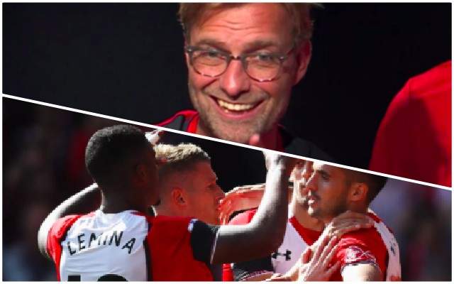 Klopp, Lemina