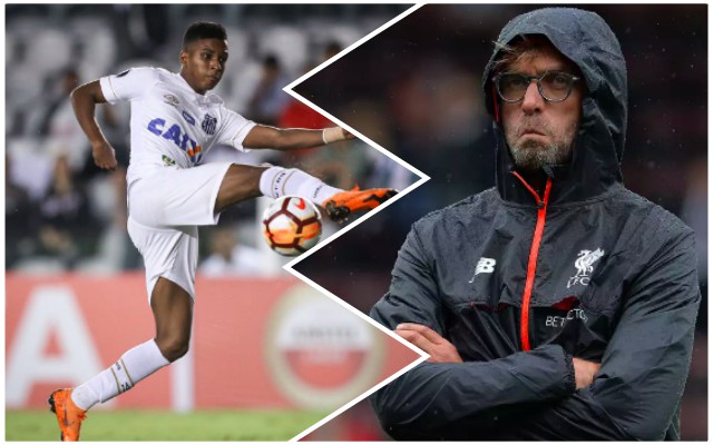 Klopp, Rodrygo