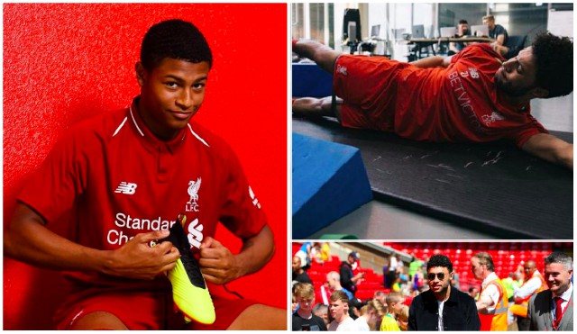 Brewster, Oxlade-Chamberlain