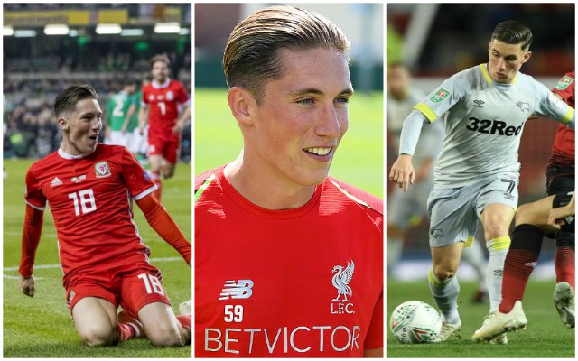 Harry Wilson