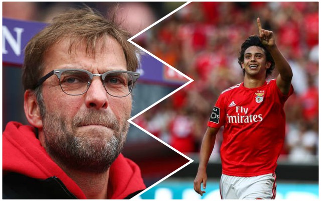 Klopp-Joao