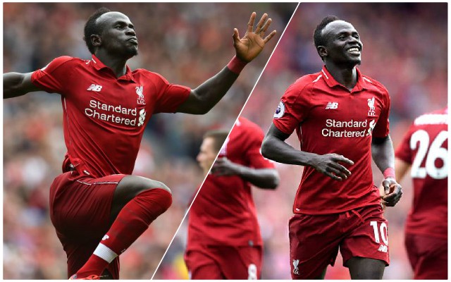 Mane