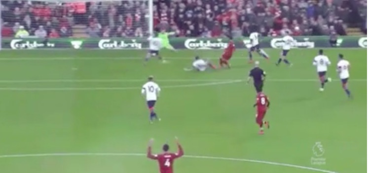 Van-Dijk-Firmino