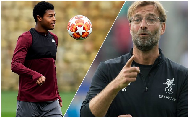Brewster-Klopp