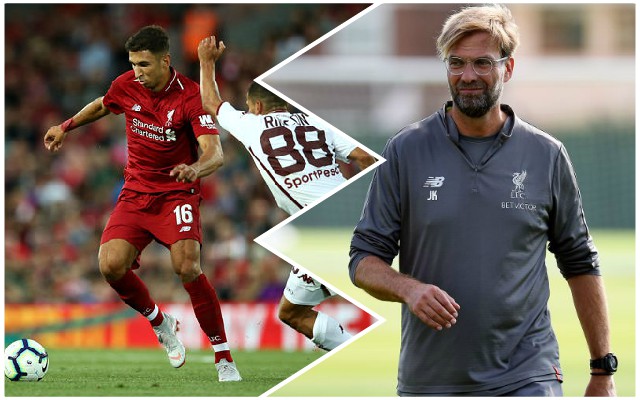 Grujic-Klopp