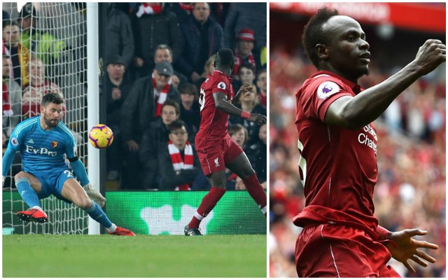 Mane