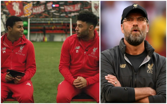 Brewster-Klopp