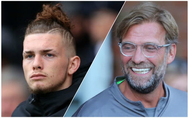 Elliott-Klopp