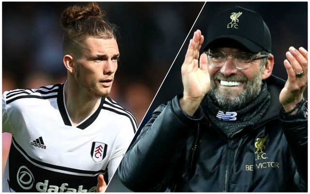 Elliott-Klopp