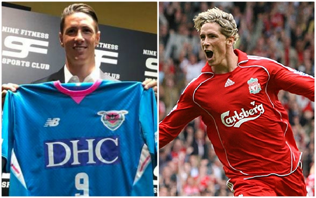 Torres