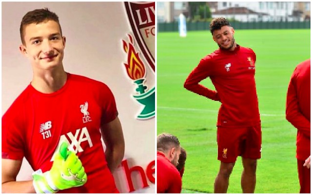 Mrozek-Oxlade-Chamberlain