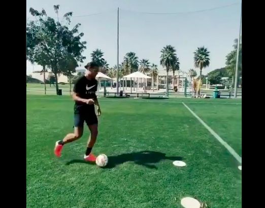 Van Dijk, Gomez