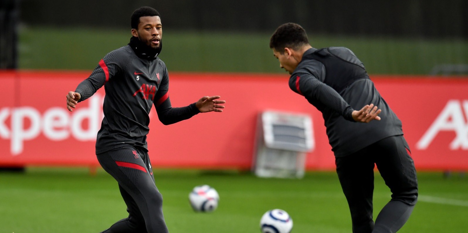 Wijnaldum, Firmino