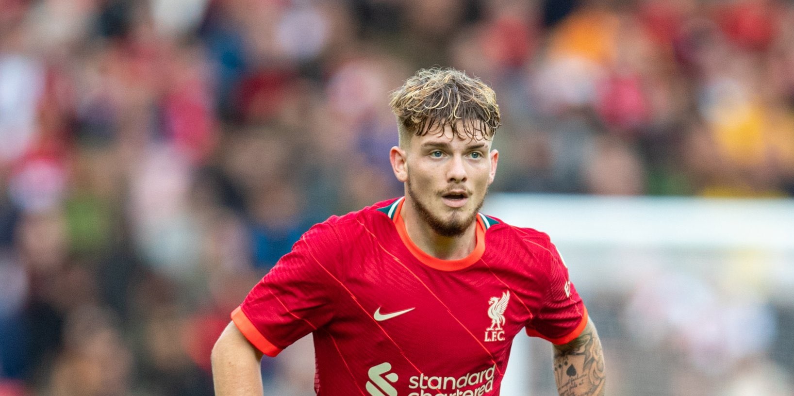 Elliott, Liverpool, Carvalho