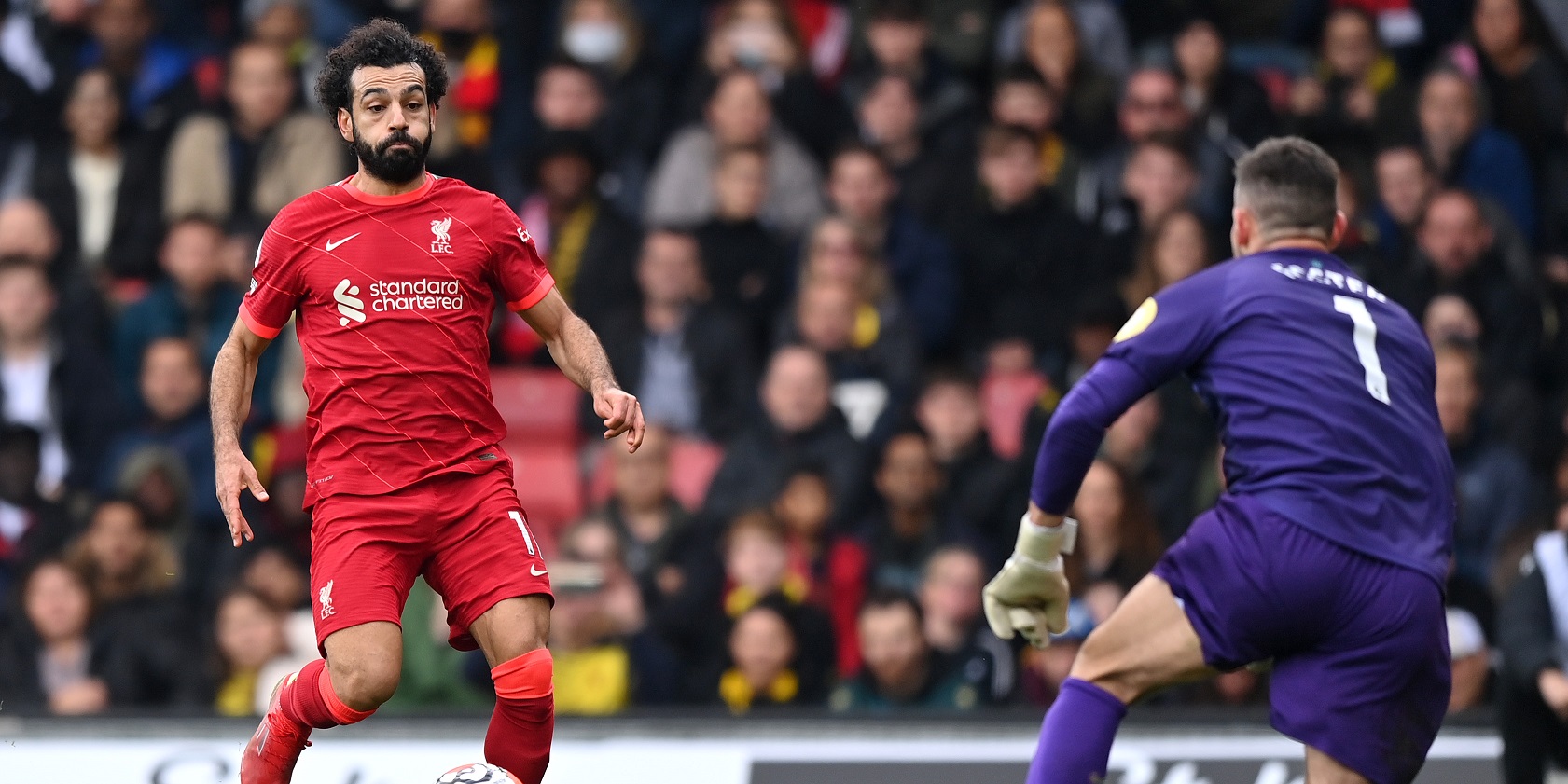 Foster, Salah