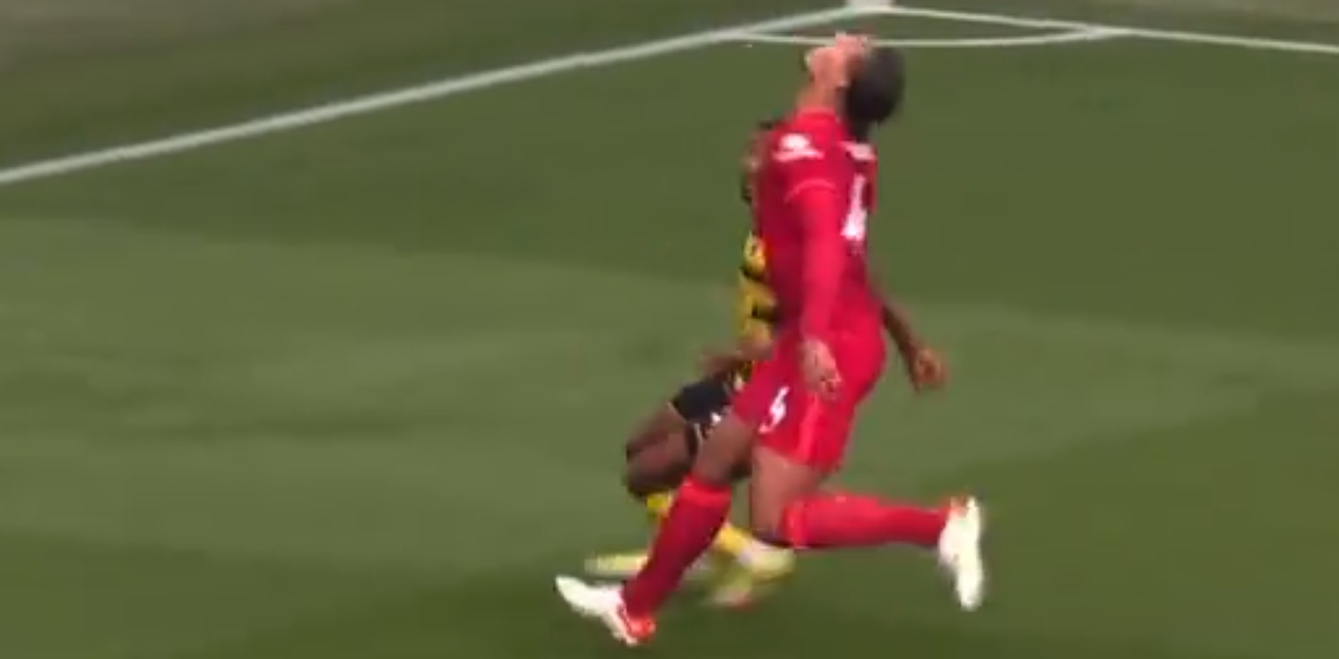 Van Dijk, Bonaventure