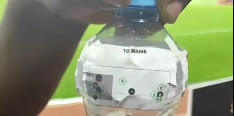 Mane