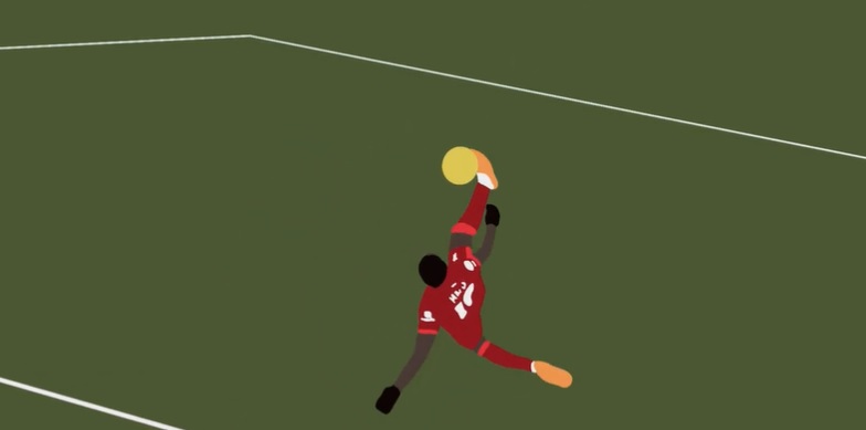 Mane