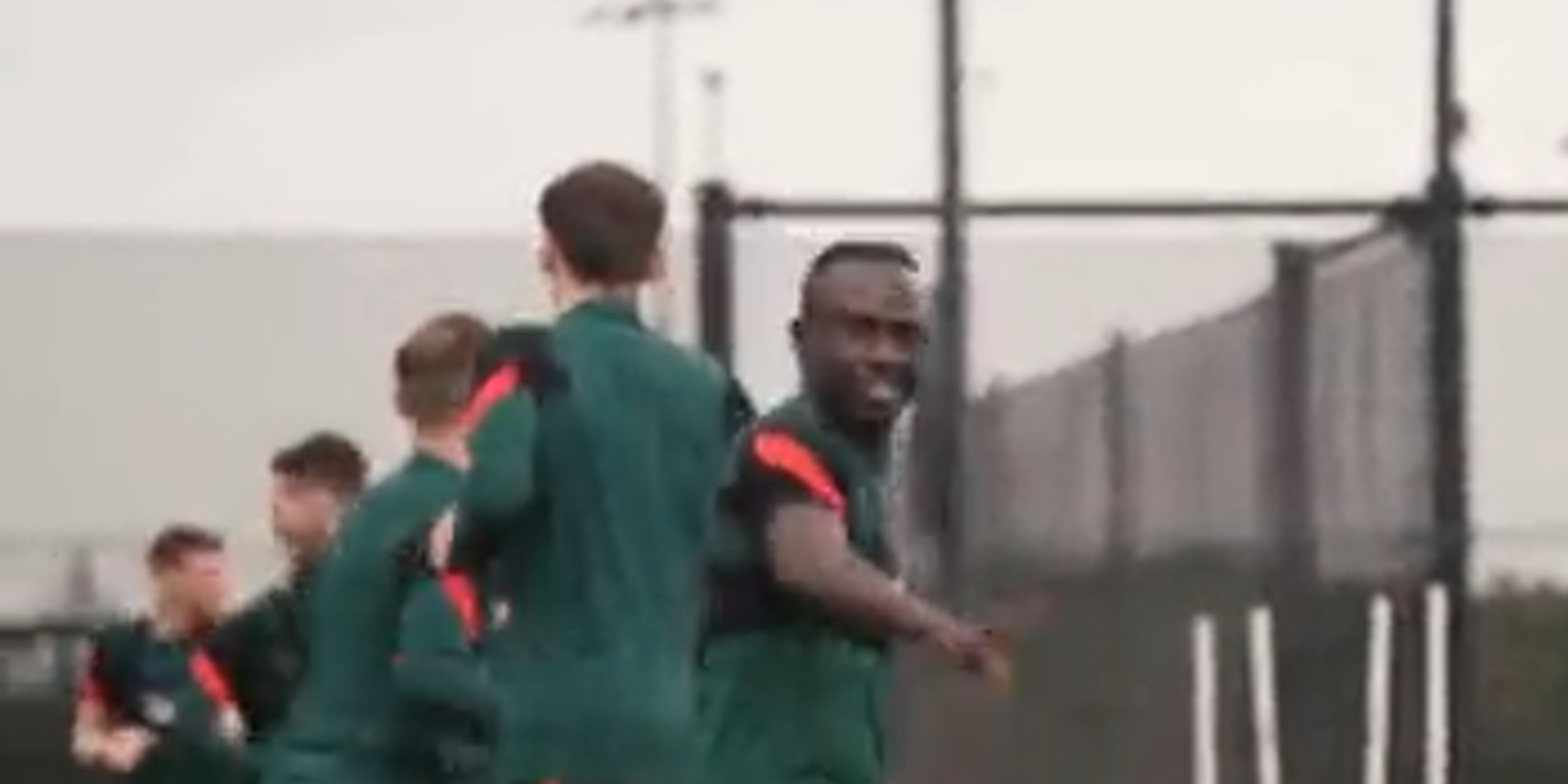 Mane