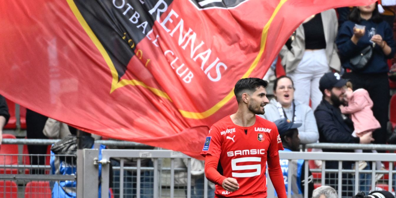 Terrier, Liverpool, Rennes, Mane