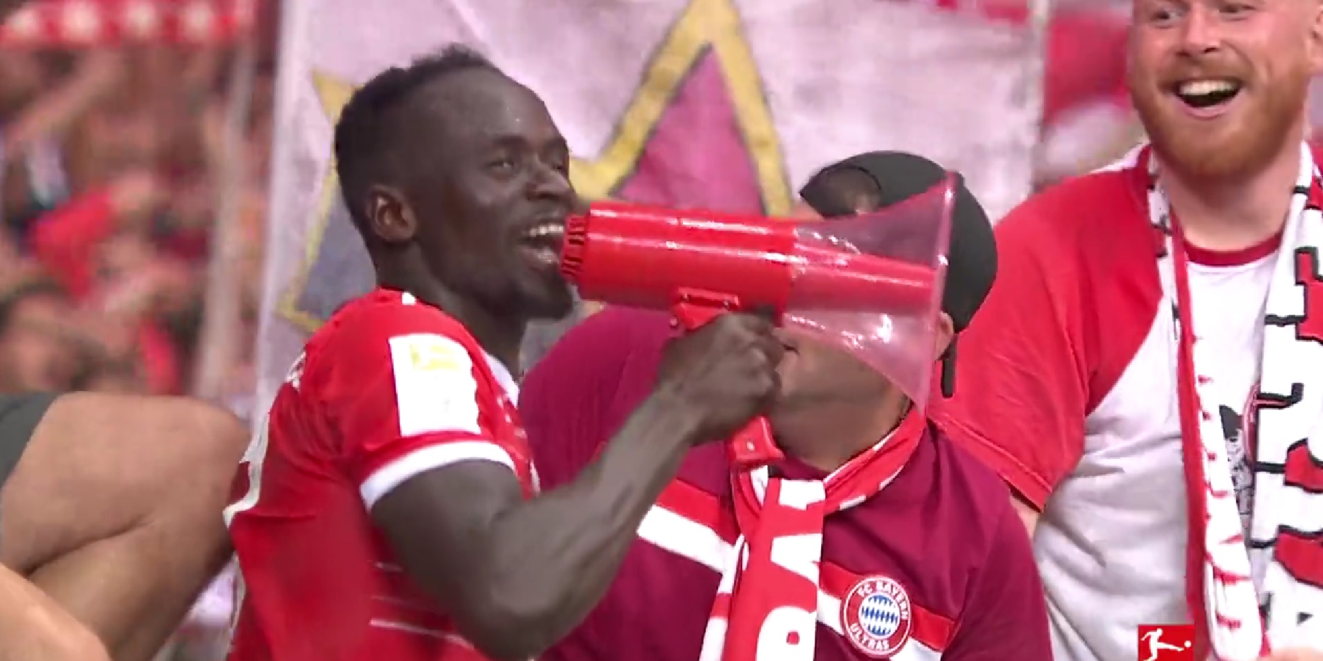 Mane