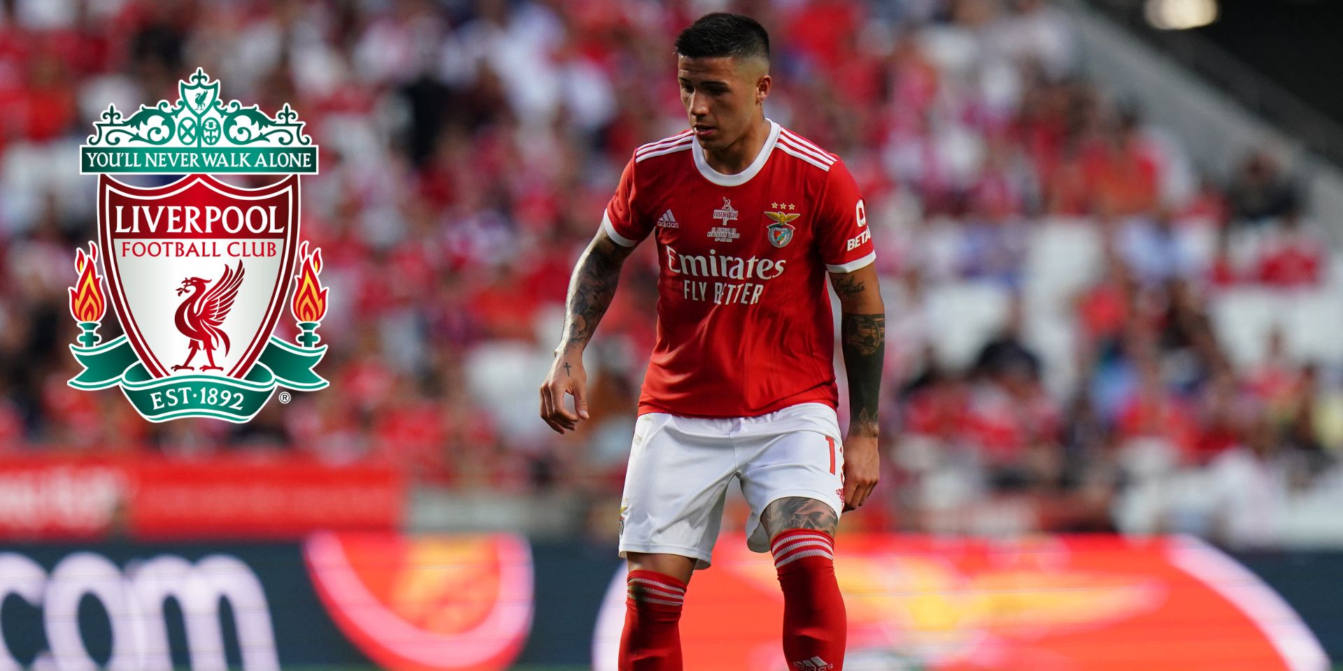 Liverpool, Fernandez, Benfica