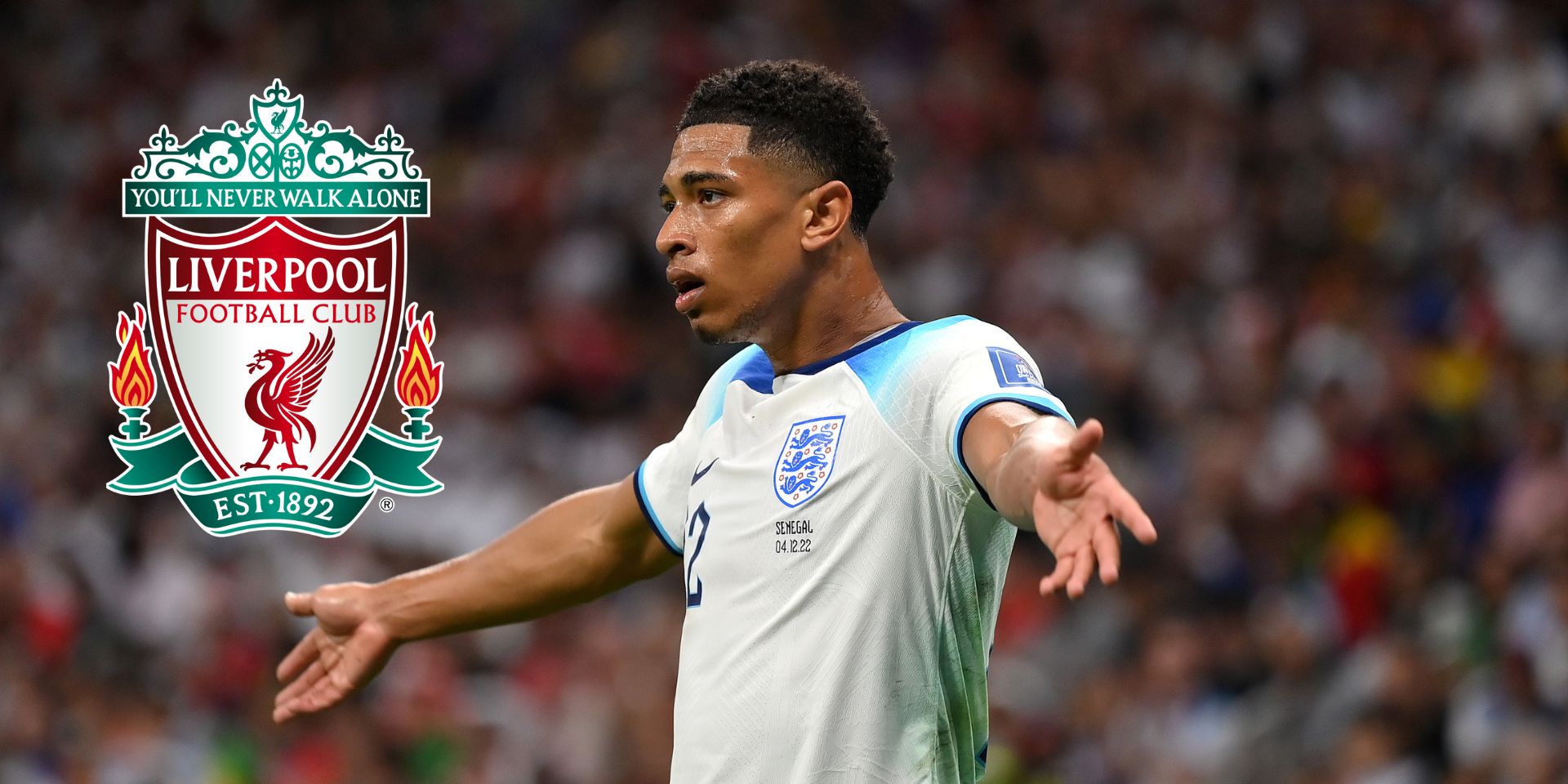 Bellingham, Liverpool, Plettenberg