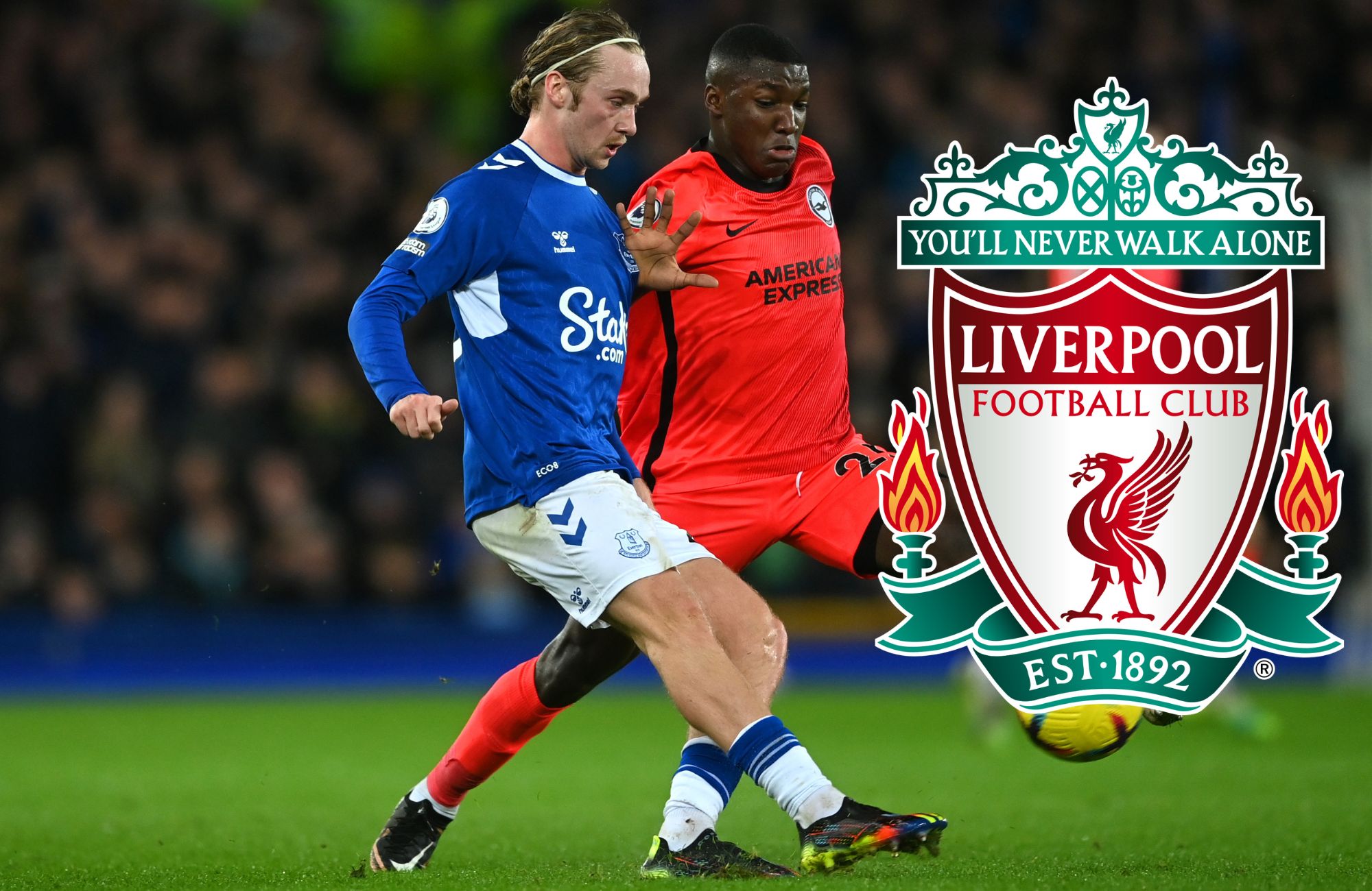 Caicedo, Liverpool