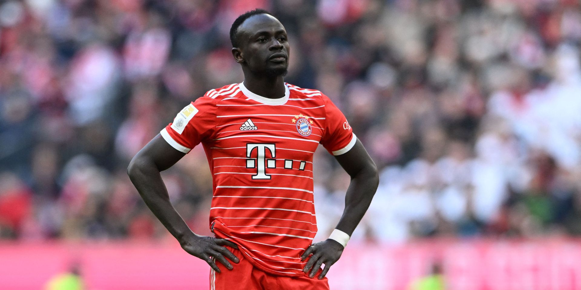 Mane, Bayern, Hau