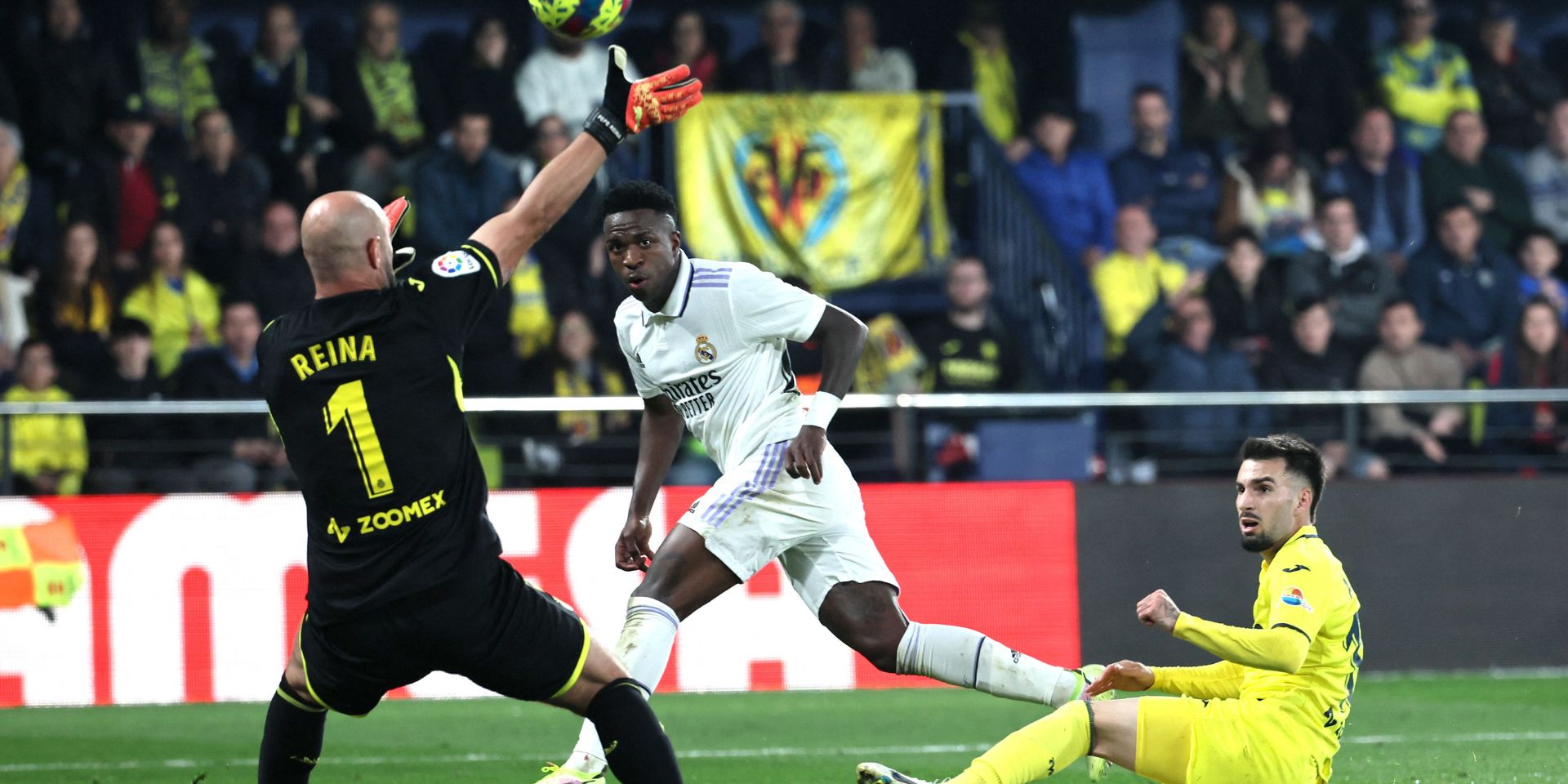 Reina, Vinicius