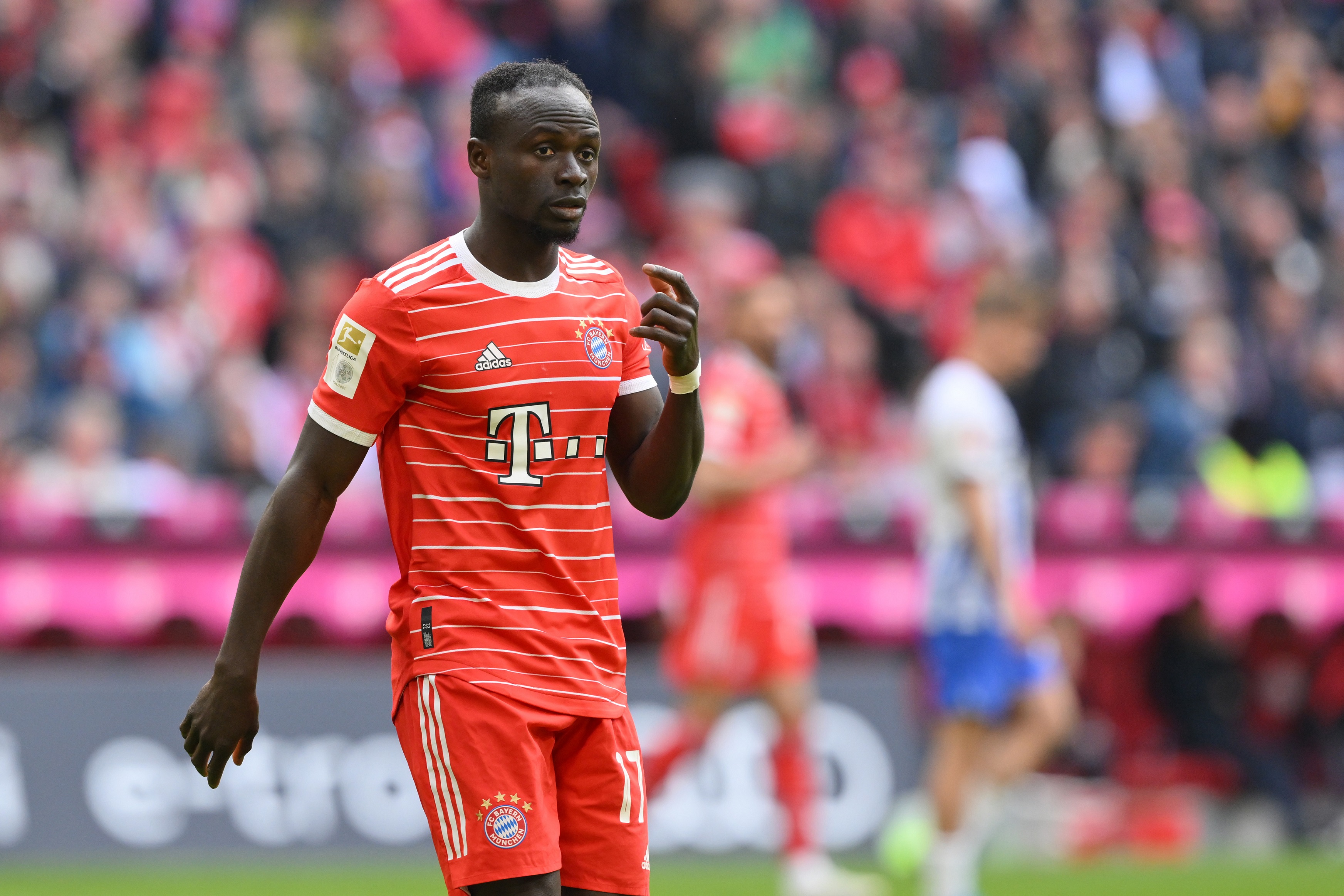 Mane, Liverpool Mane, Liverpool