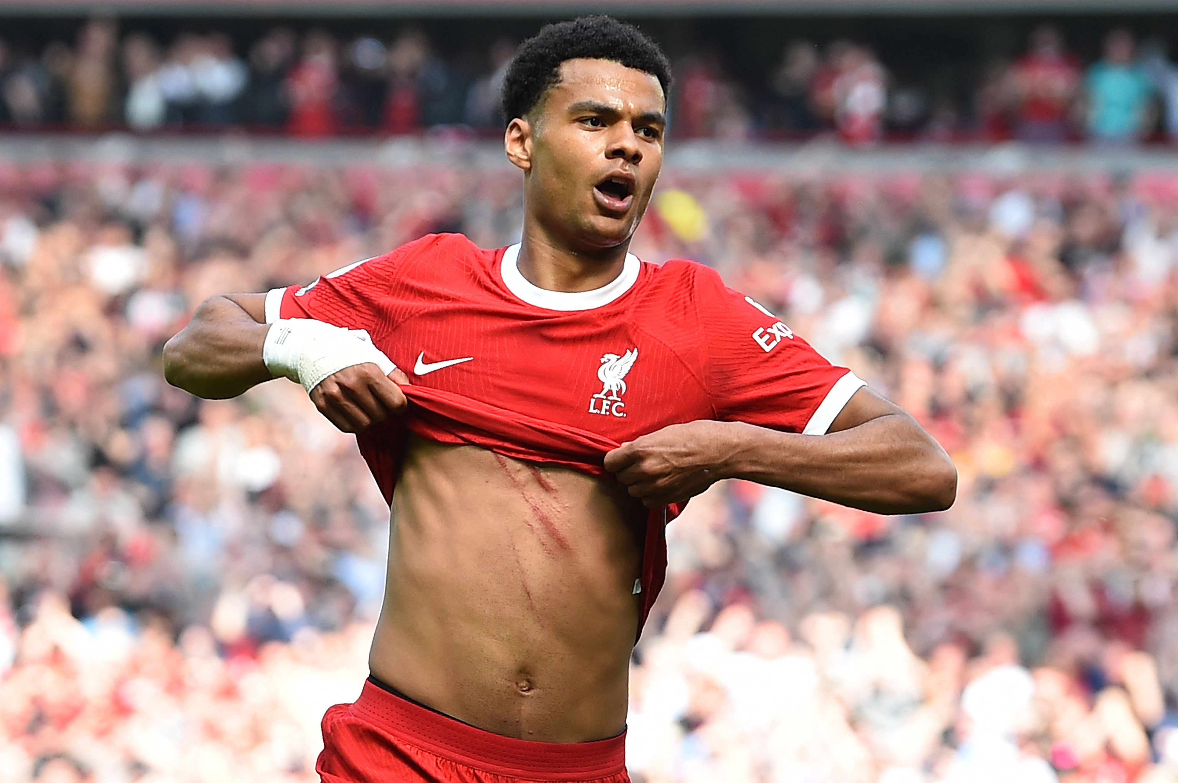 Liverpool, Cody Gakpo
