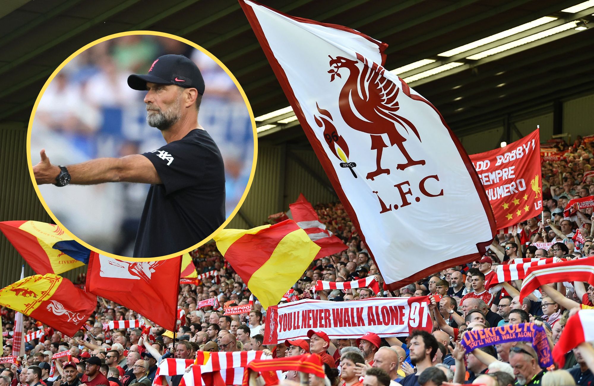 Klopp