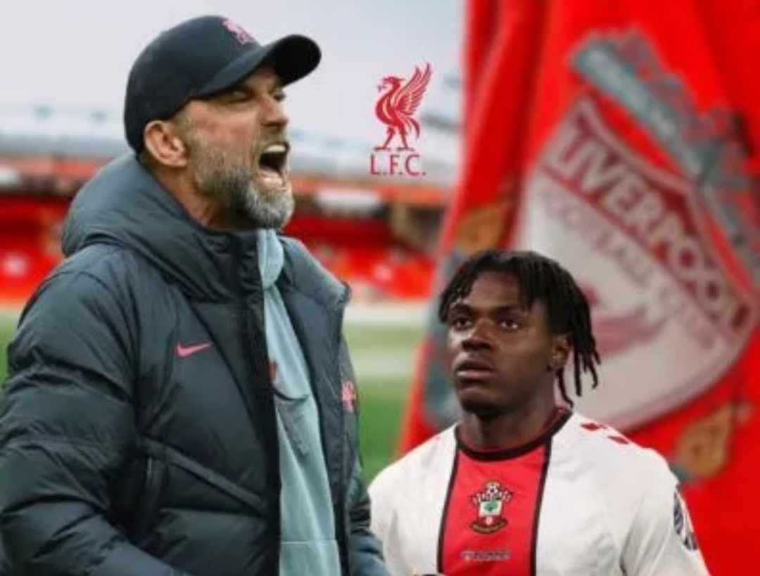 Liverpool, Lavia