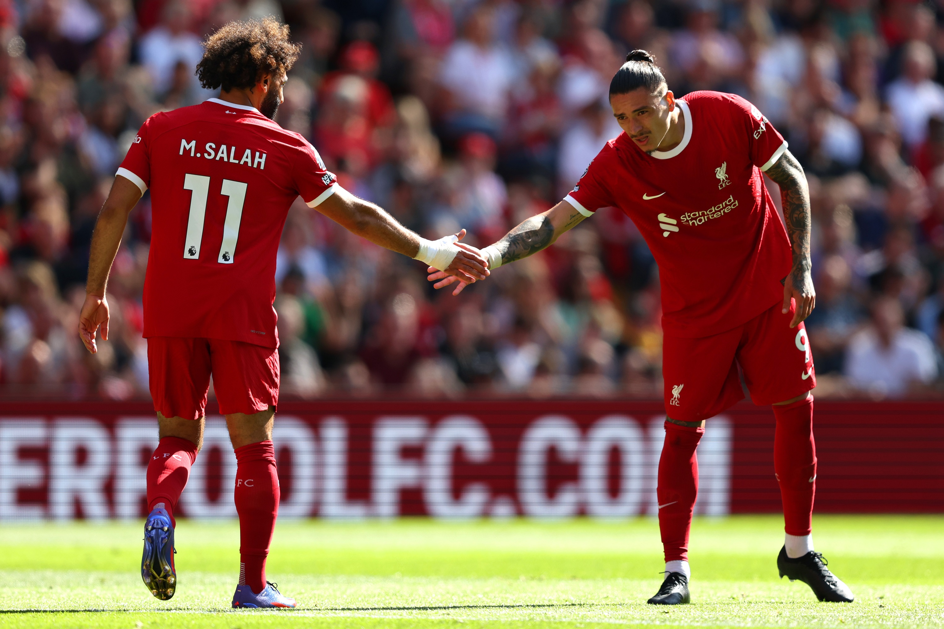 Nunez, Liverpool, Osman