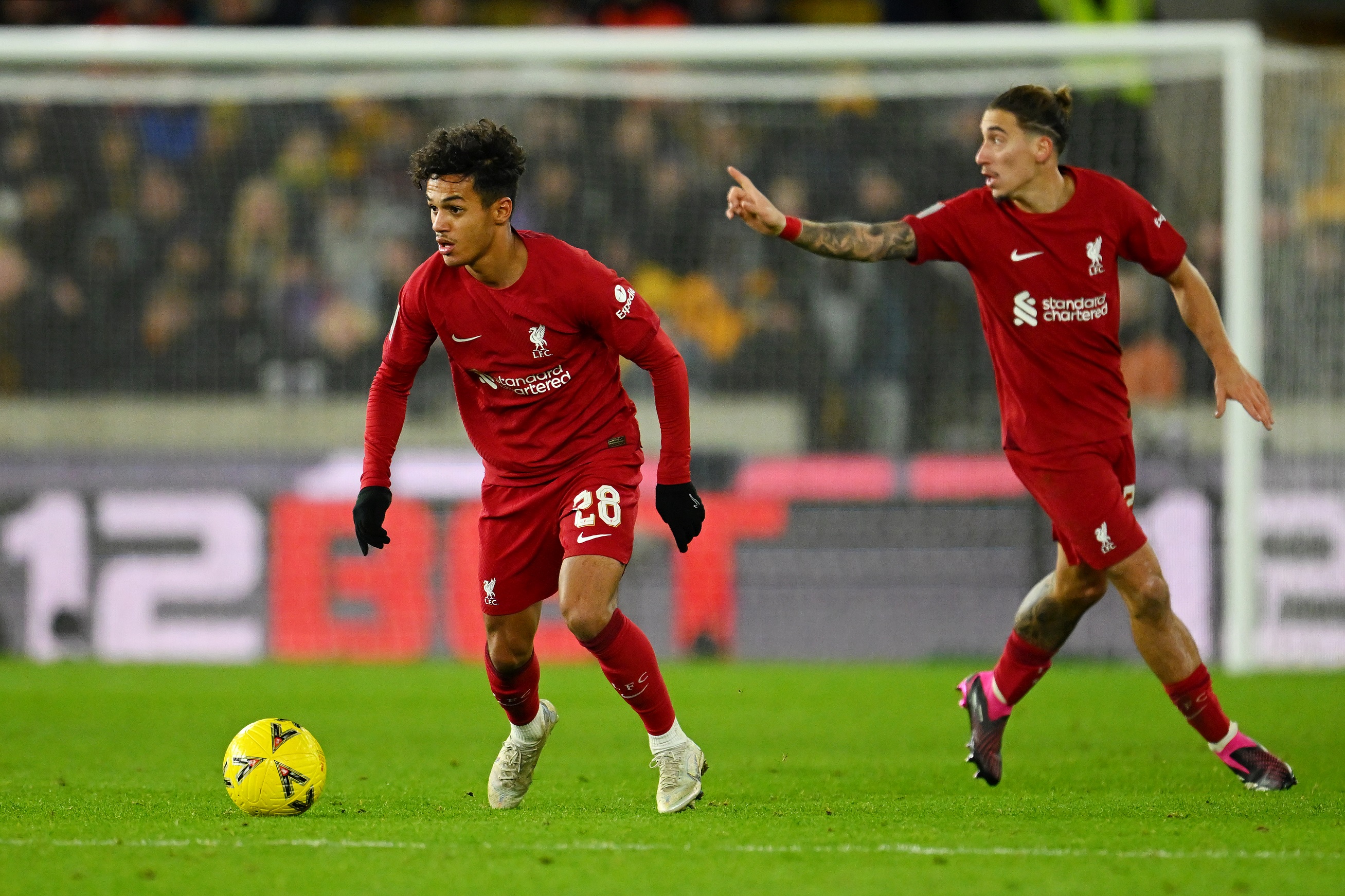 Carvalho, Liverpool