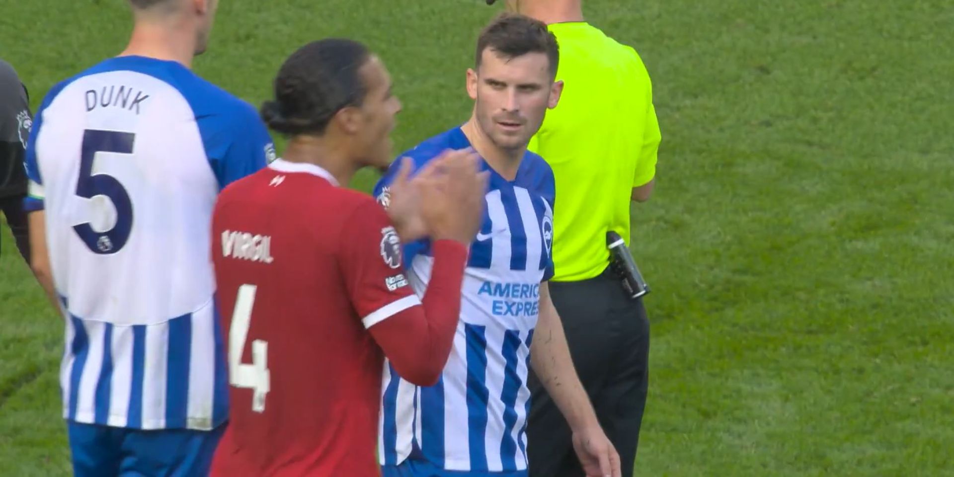 Van Dijk, Gross