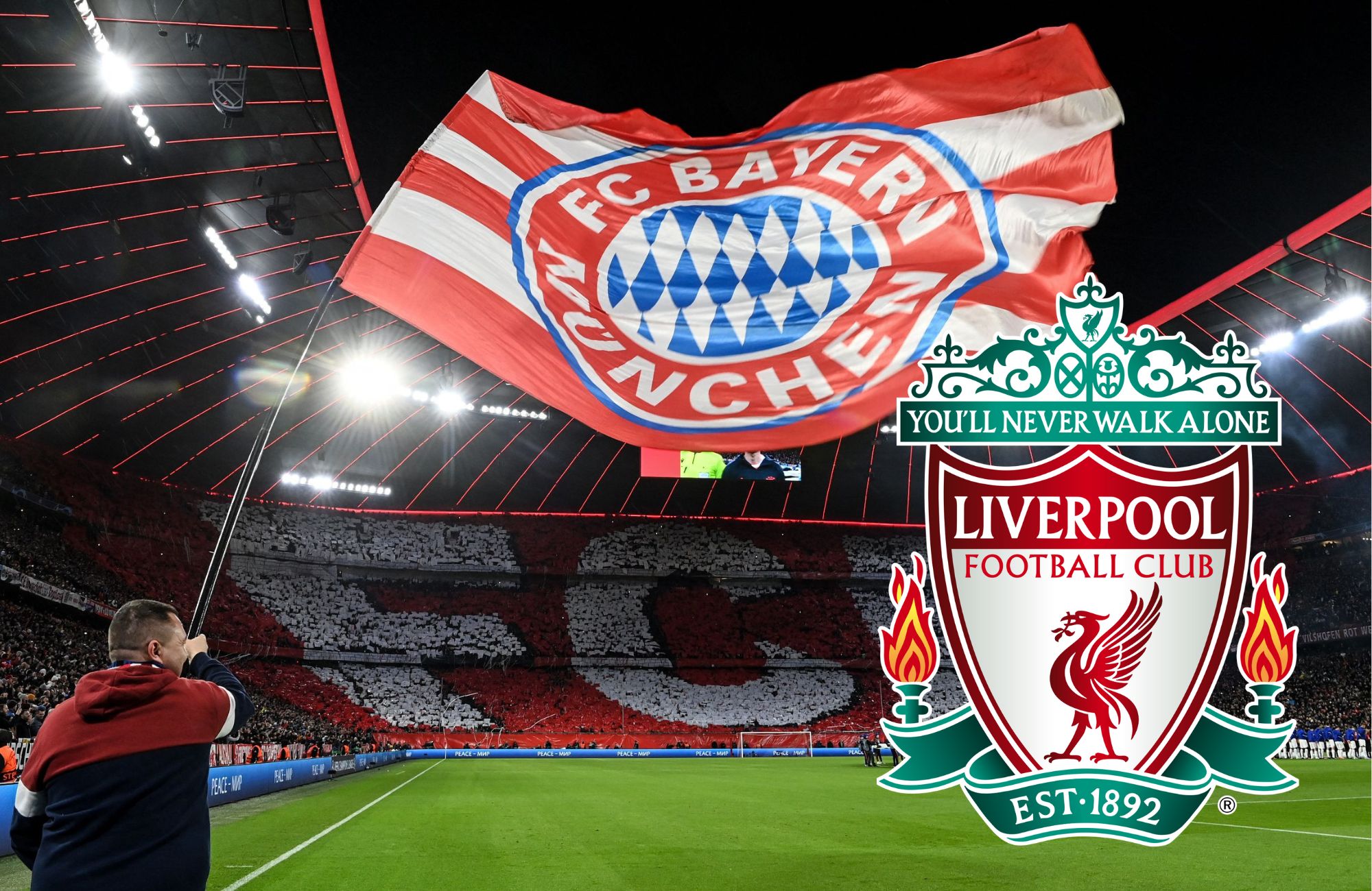 Liverpool, Palhinha, Andre