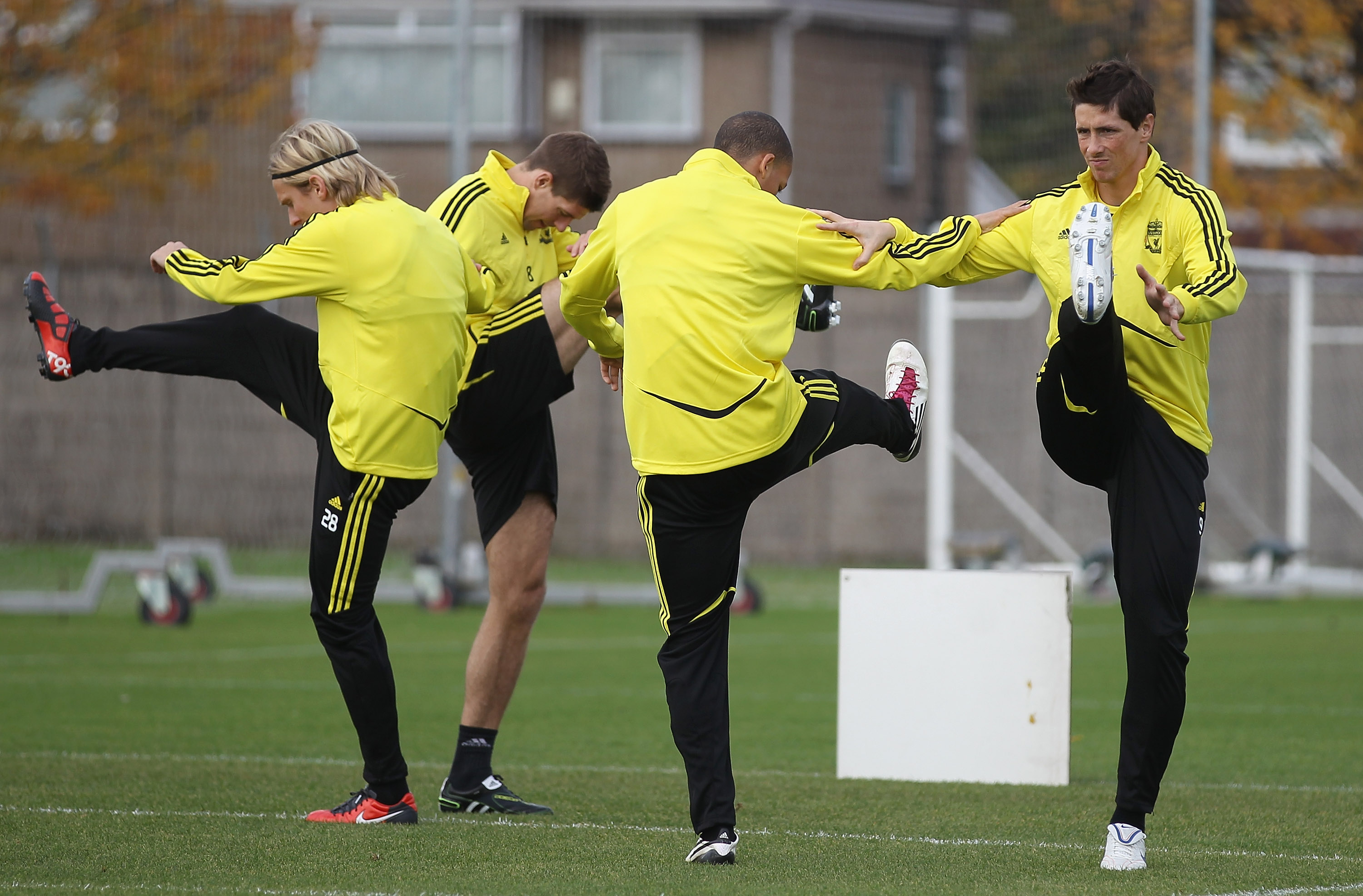 Hodgson, Torres