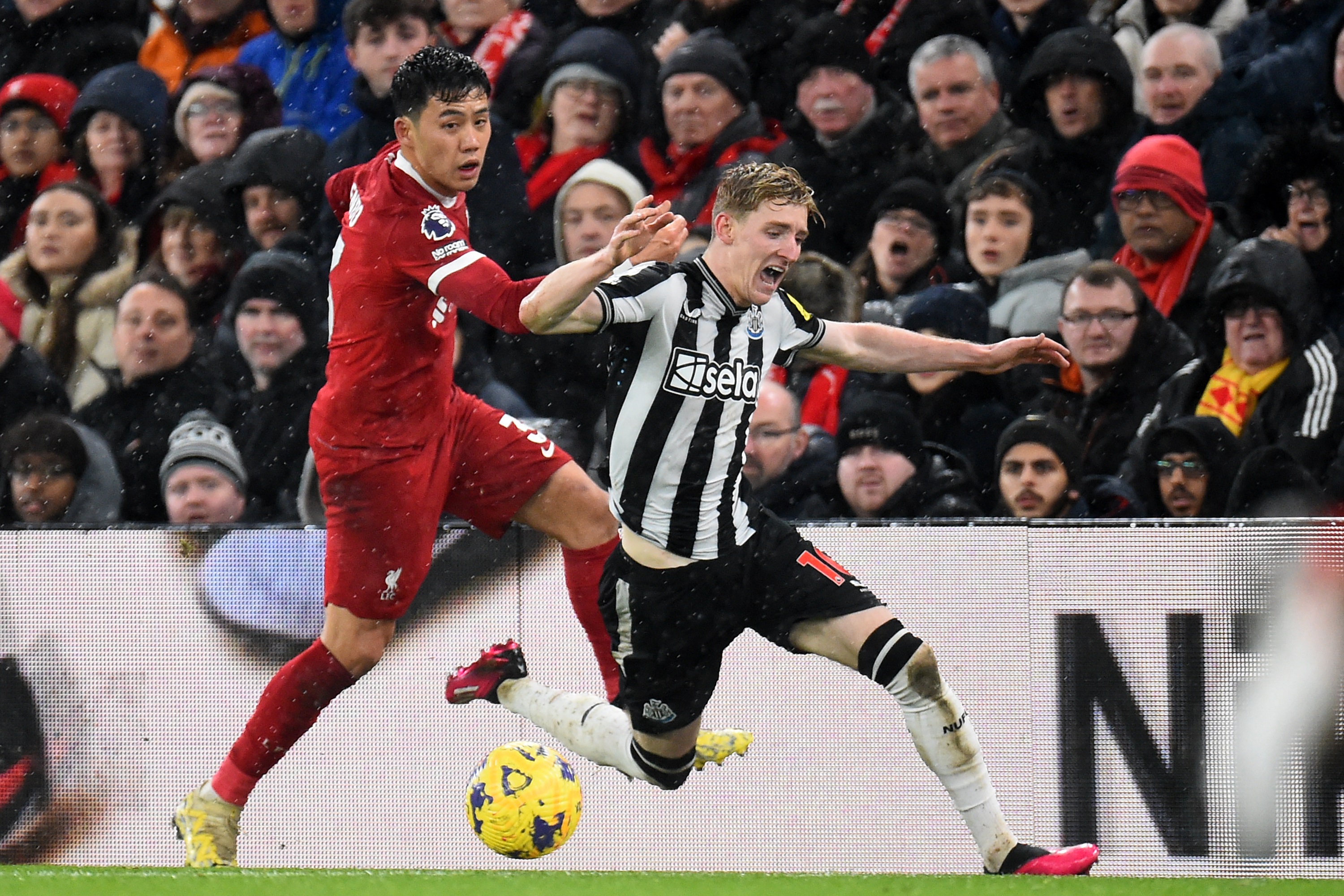 Endo, Liverpool, Gorst Endo, Liverpool, Gorst