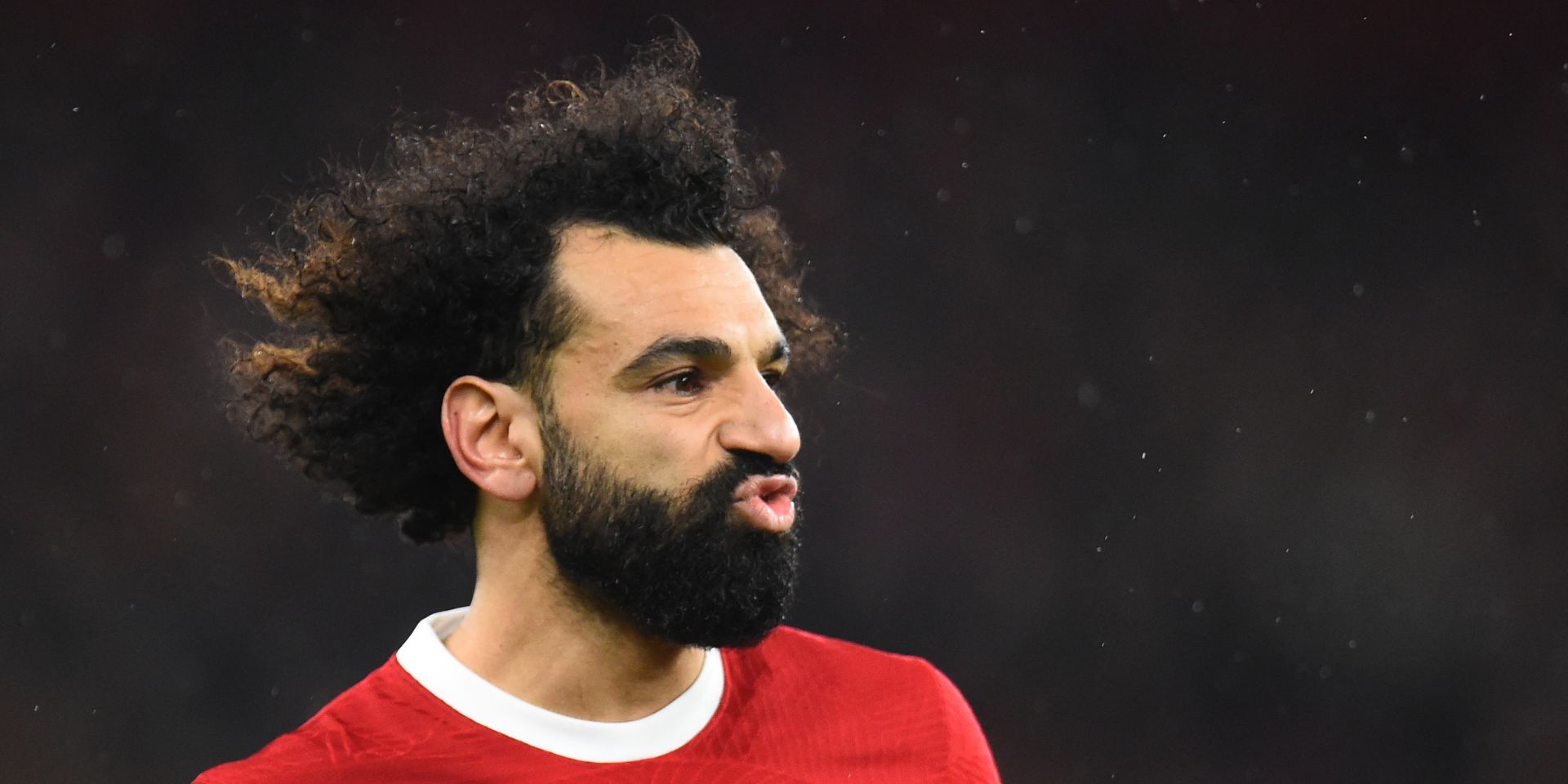 Salah, Egypt, Hassan