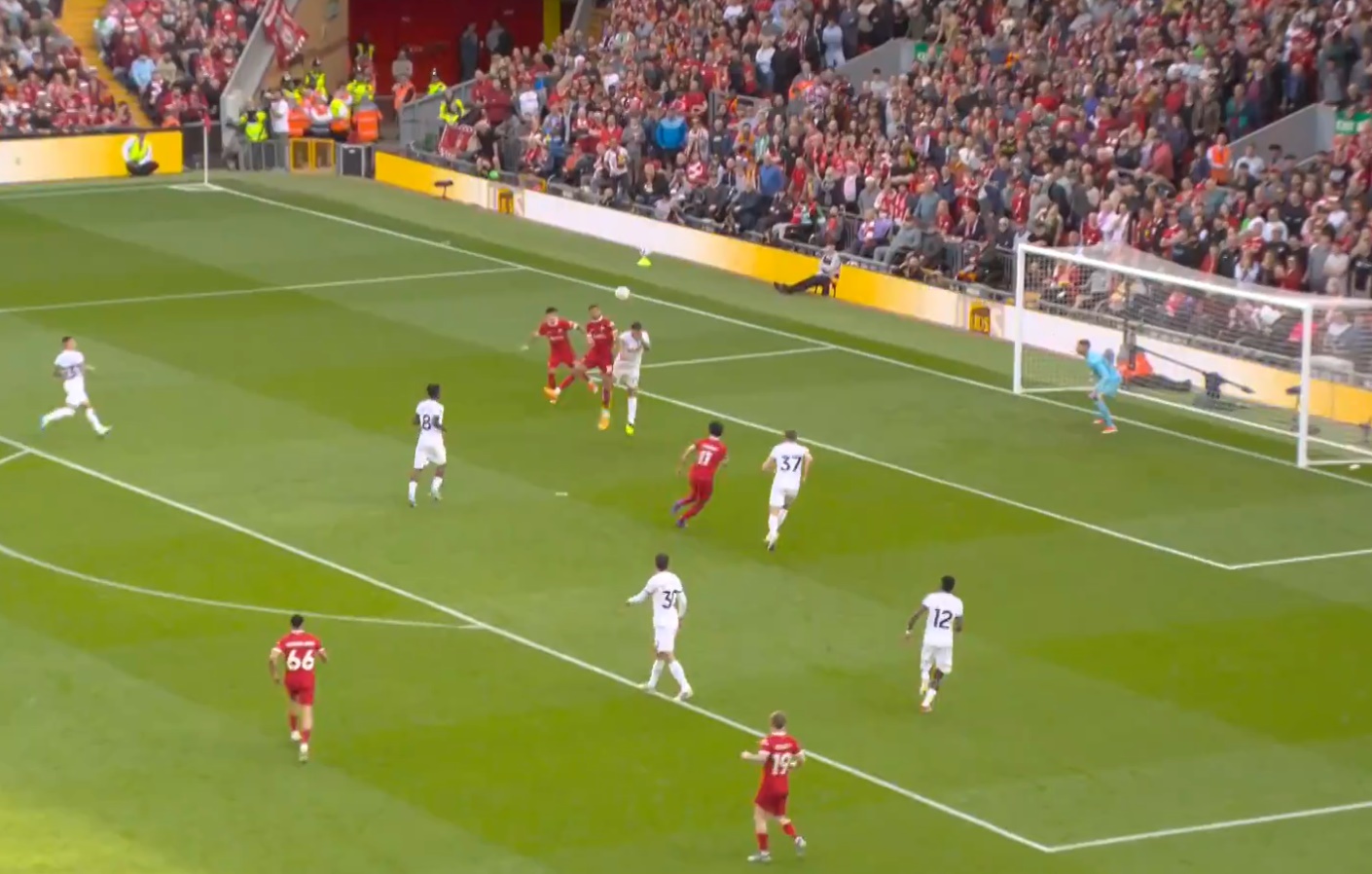 gakpo-goal-spurs