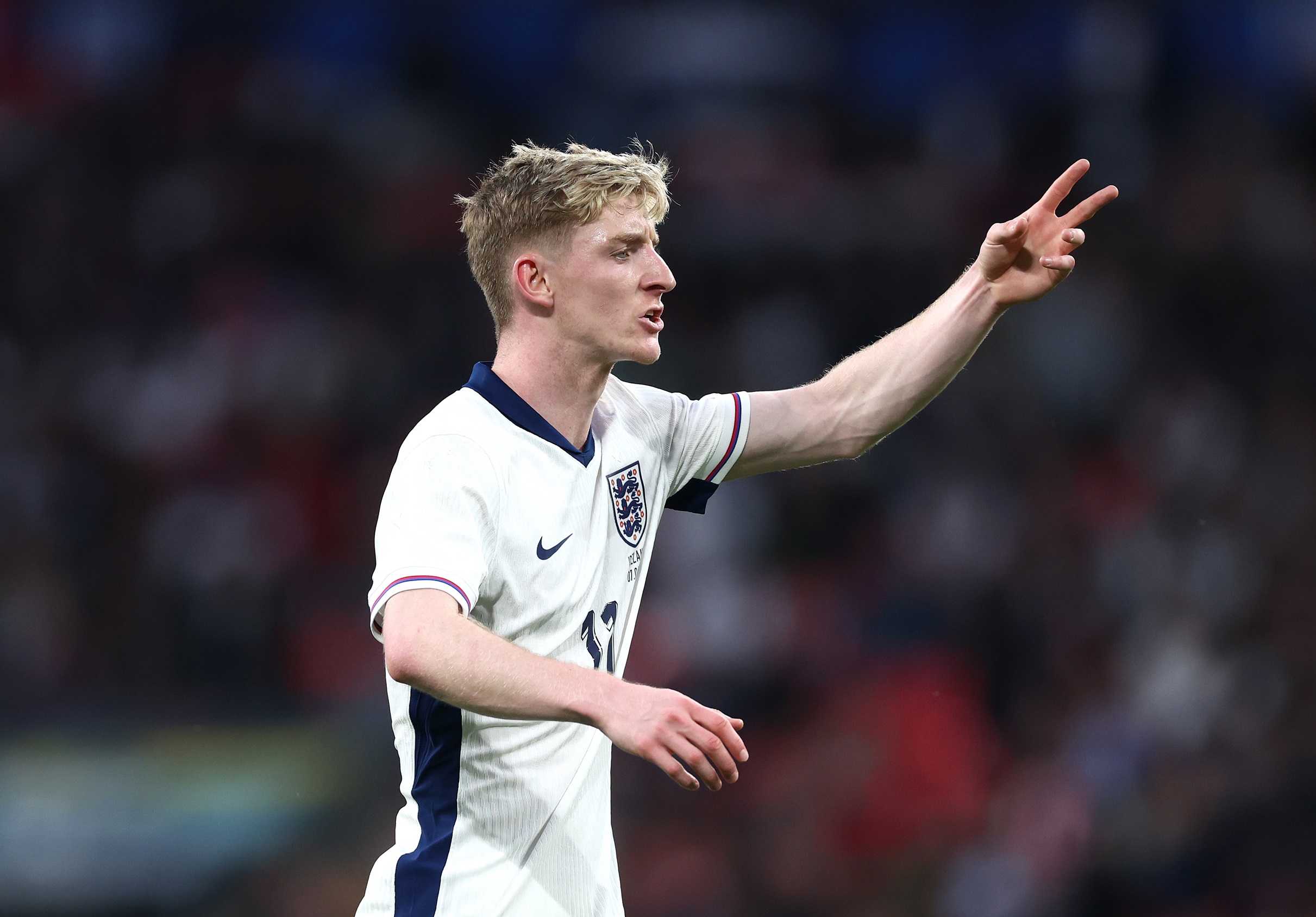 Liverpool, Gordon Liverpool, Gordon