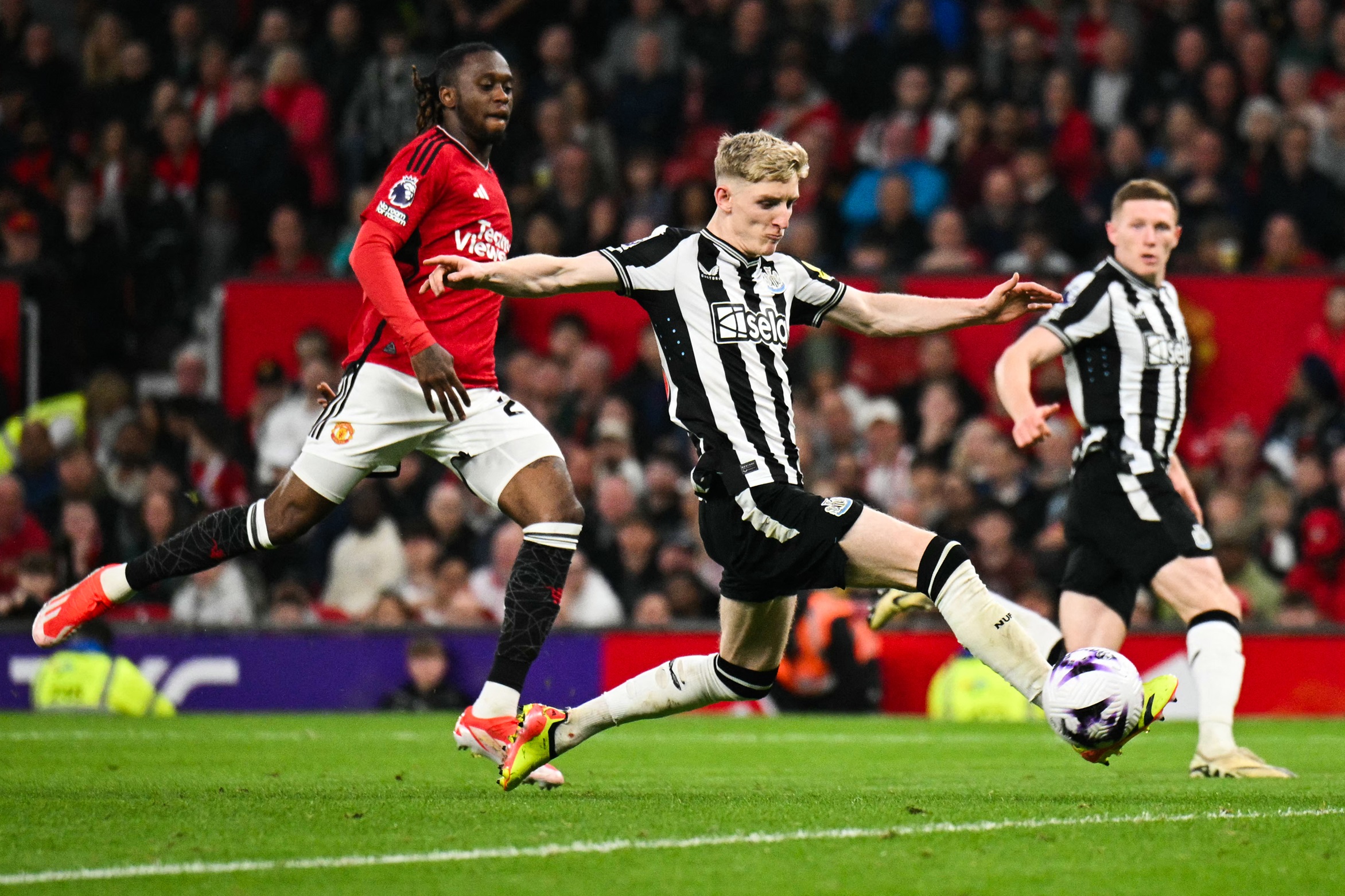 Gordon, Liverpool Gordon, Liverpool