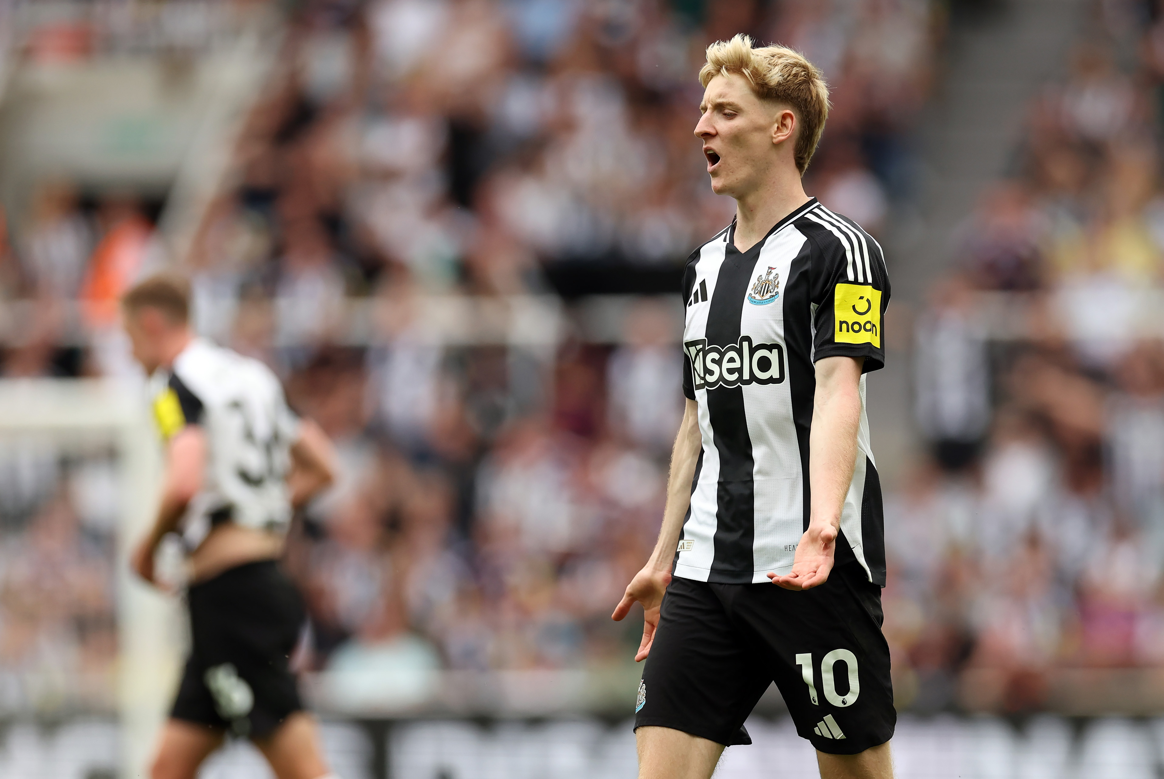 Gordon, Liverpool, Newcastle Gordon, Liverpool, Newcastle